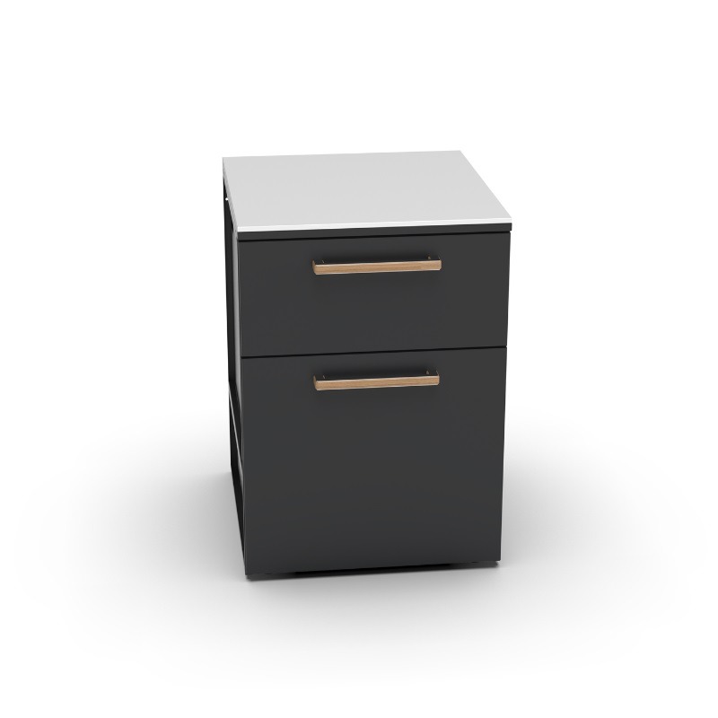 CT 60 TRASH DRAWERS – מודול מגירות אשפה חבויות למטבח חוץ Brabura